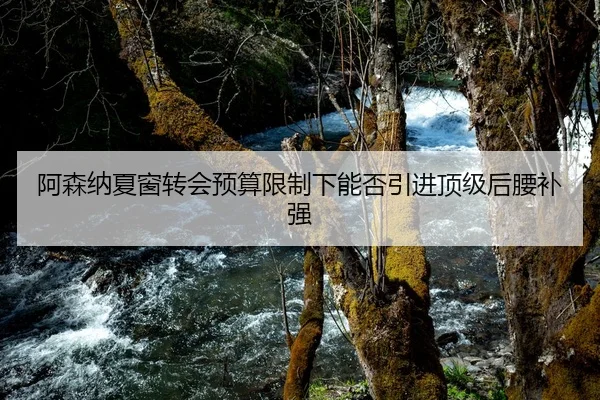 阿森纳夏窗转会预算限制下能否引进顶级后腰补强