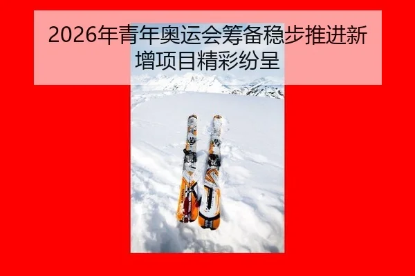 nian-qing-nian-ao-yun-hui-chou-bei-wen-bu-tui-jin-xin-zeng-xiang-mu-jing-cai-fen-cheng-3-643.jpg