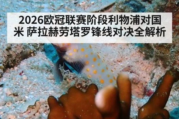 2026欧冠联赛阶段利物浦对国米 萨拉赫劳塔罗锋线对决全解析